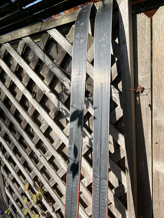 Fischer Europa skis